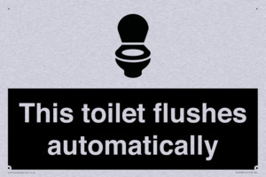 This toilet flushes automatically